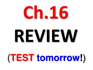 Ch.16 REVIEW