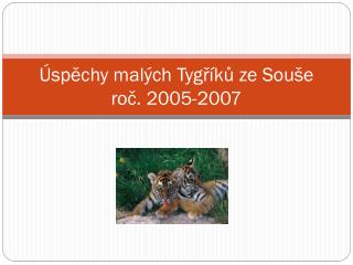 Úspěchy malých Tygříků ze Souše roč . 2005-2007