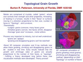 Topological Grain Growth Burton R. Patterson, University of Florida, DMR 1035188