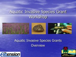 Aquatic Invasive Species Grant Workshop