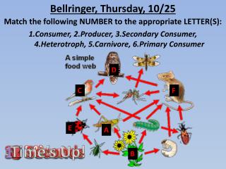 Bellringer , Thursday, 10/25