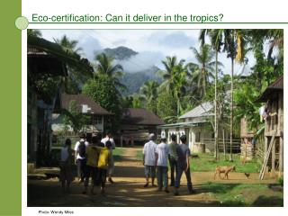 Eco-certification: Can it deliver in the tropics?
