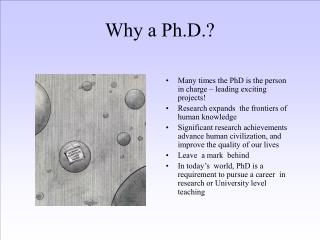 Why a Ph.D.?