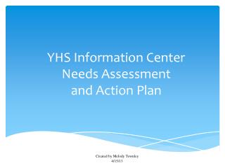 YHS Information Center Needs Assessment and Action Plan