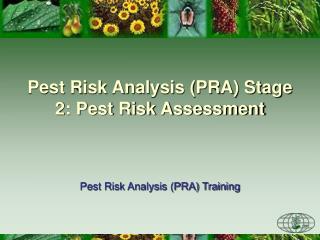Pest Risk Analysis (PRA) Stage 2: Pest Risk Assessment