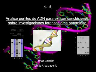 Analice perfiles de ADN para extraer conclusiones sobre investigaciones forenses o de paternidad