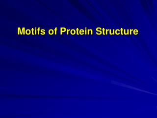 Motifs of Protein Structure