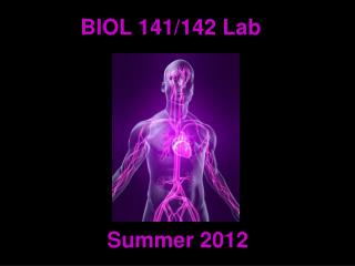 BIOL 141/142 Lab