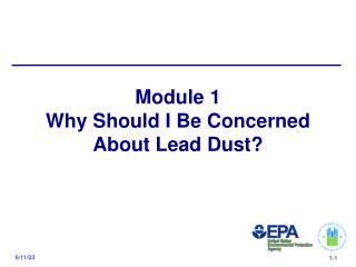 Module 1 Why Should I Be Concerned About Lead Dust?