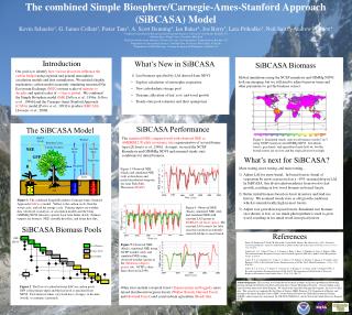 The combined Simple Biosphere/Carnegie-Ames-Stanford Approach (SiBCASA) Model