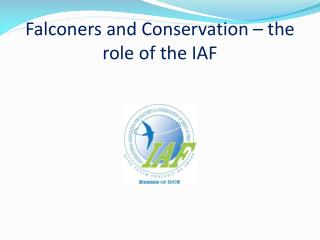 Falconers and Conservation – the role of the IAF