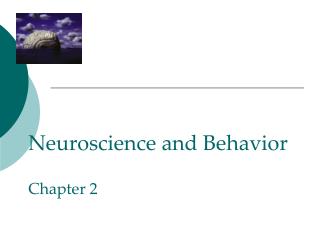 Neuroscience and Behavior Chapter 2