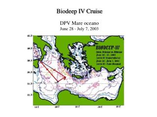 Biodeep IV Cruise DPV Mare oceano June 28 - July 7, 2003