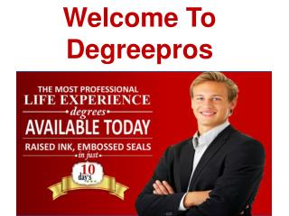 Welcome To Degreepros