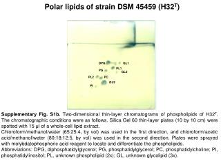 Polar lipids of strain DSM 45459 (H32 T )