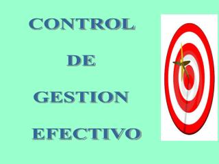 CONTROL DE GESTION EFECTIVO