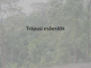 Trópusi esőerdők