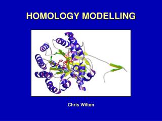 HOMOLOGY MODELLING