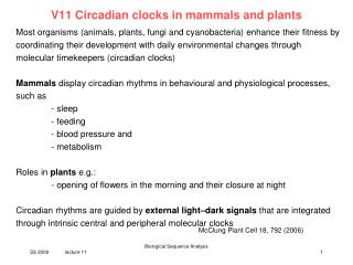 V11 Circadian clocks in mammals and plants