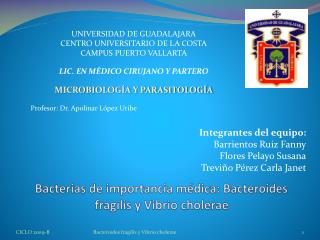 Bacterias de importancia médica: Bacteroides fragilis y Vibrio cholerae