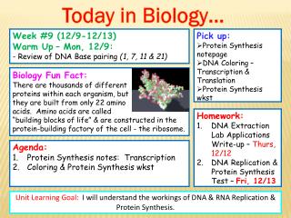 Pick up: Protein Synthesis notepage DNA Coloring – Transcription &amp; Translation
