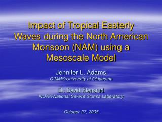 Impact of Tropical Easterly Waves during the North American Monsoon (NAM) using a Mesoscale Model
