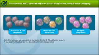 To view the WHO classification of B cell neoplasms , select each category.