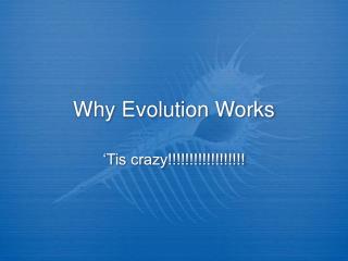 Why Evolution Works