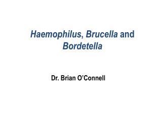 Haemophilus , Brucella and Bordetella