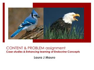 CONTENT &amp; PROBLEM assignment Case-studies &amp; Enhancing learning of Endocrine Concepts