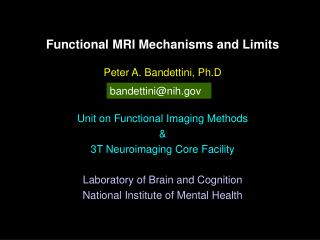 Functional MRI Mechanisms and Limits