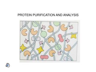 PROTEIN PURIFICATION AND ANALYSIS