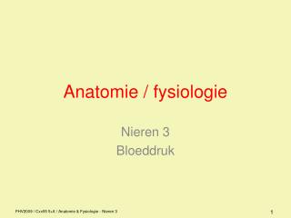Anatomie / fysiologie