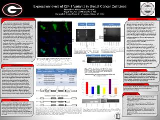 Expression levels of IGF-1 Variants in Breast Cancer Cell Lines