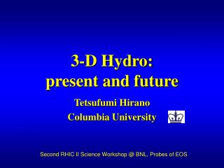 3-D Hydro: present and future