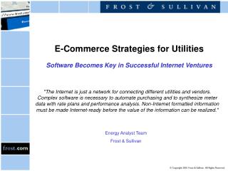 E-Commerce Strategies for Utilities Software Becomes Key in Successful Internet Ventures