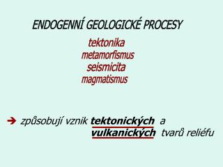ENDOGENNÍ GEOLOGICKÉ PROCESY