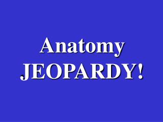 Anatomy JEOPARDY!