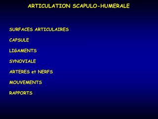 ARTICULATION SCAPULO-HUMERALE