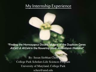 By: Susan Siobhan Chen College Park Scholars-Life Sciences Program