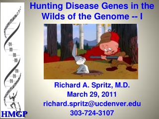 Hunting Disease Genes in the Wilds of the Genome -- I