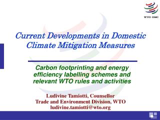 Current Developments in Domestic Climate Mitigation Measures