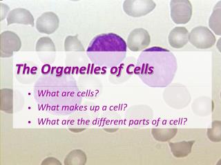 The Organelles of Cells