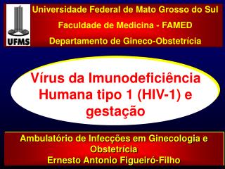 Vírus da Imunodeficiência Humana tipo 1 (HIV-1) e gestação