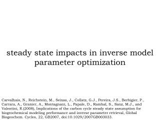 steady state impacts in inverse model parameter optimization