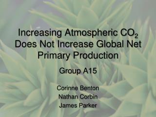 Increasing Atmospheric CO 2 Does Not Increase Global Net Primary Production