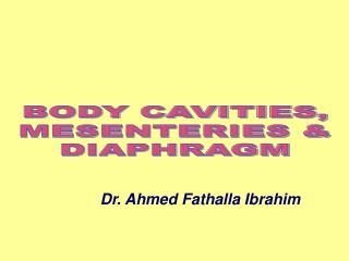 BODY CAVITIES, MESENTERIES &amp; DIAPHRAGM