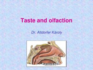 Taste and olfaction Dr. Altdorfer Károly