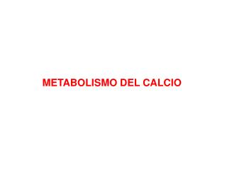 METABOLISMO DEL CALCIO
