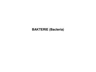BAKTERIE (Bacteria)